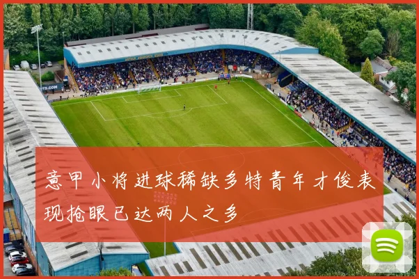 意甲小将进球稀缺多特青年才俊表现抢眼已达两人之多